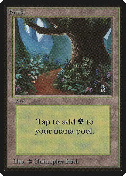 Forest 301/317