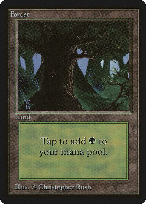 Forest 302/317