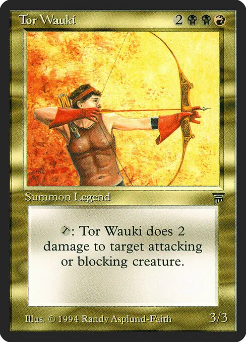Tor Wauki 265/310