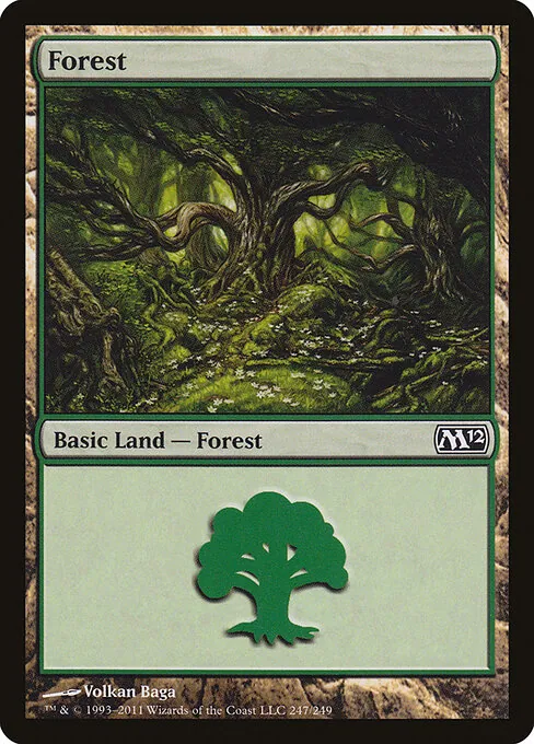 Forest 247/249