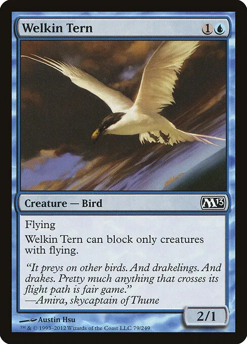 Welkin Tern 079/249