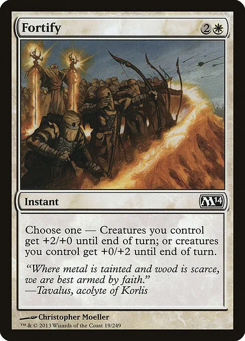 Fortify 019/249