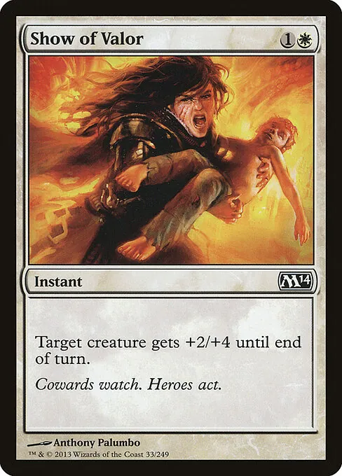 Show of Valor 033/249