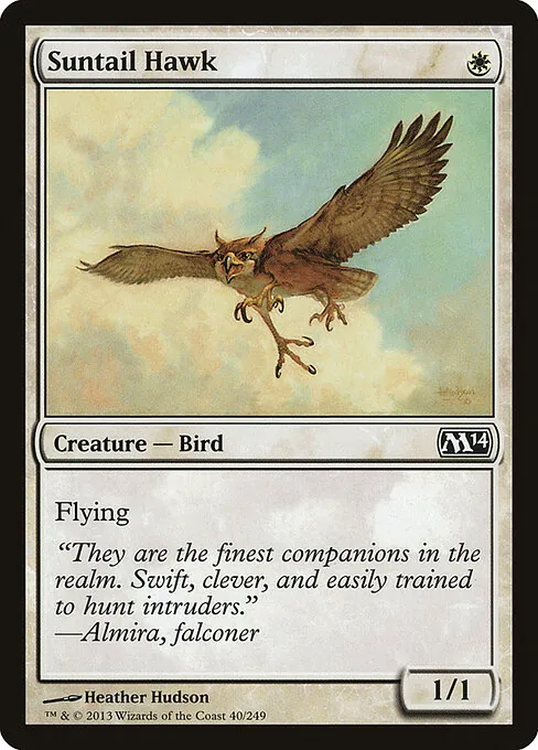 Suntail Hawk 040/249