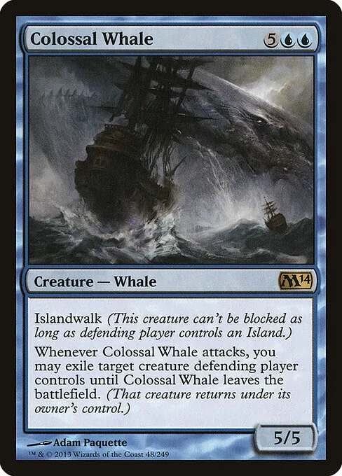 Colossal Whale 048/249