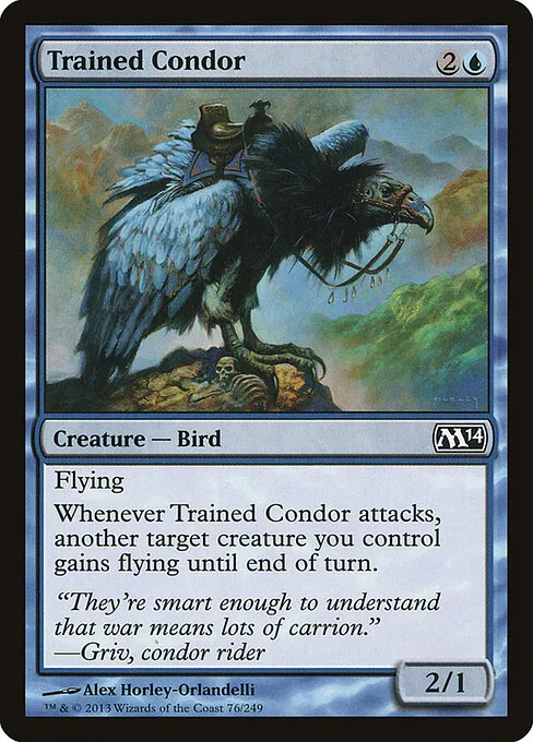 Trained Condor 076/249