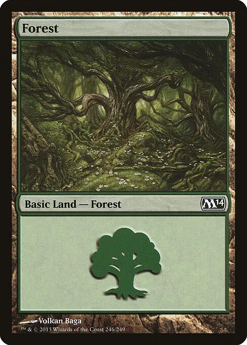 Forest 246/249