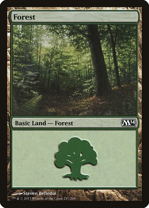 Forest 247/249