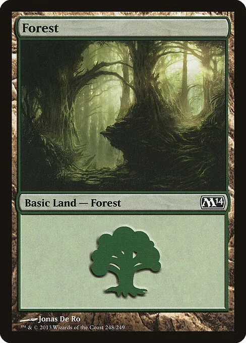 Forest 248/249