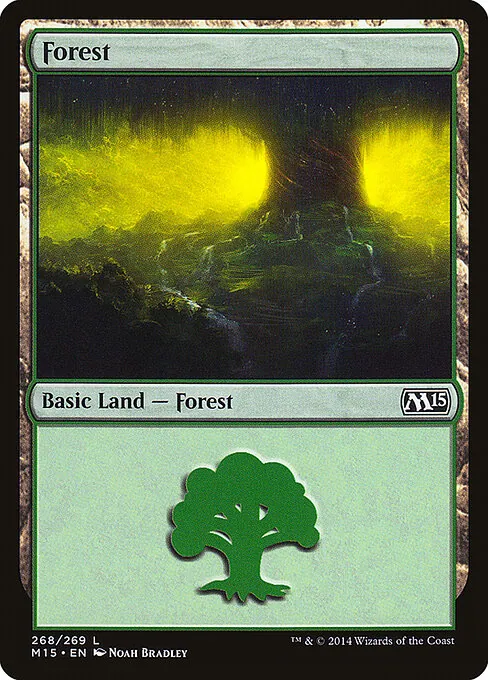 Forest 268/269