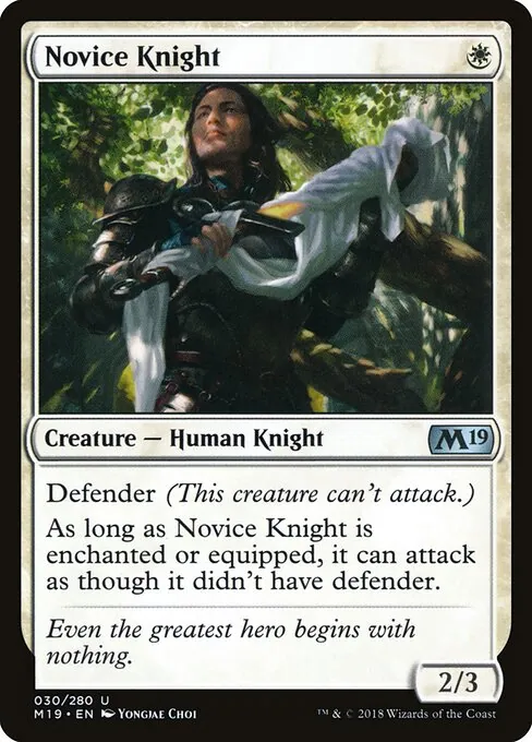 Novice Knight 030/280