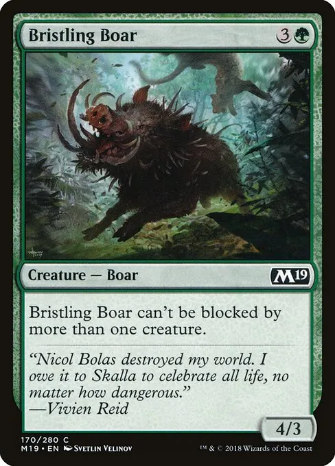 Bristling Boar 170/280