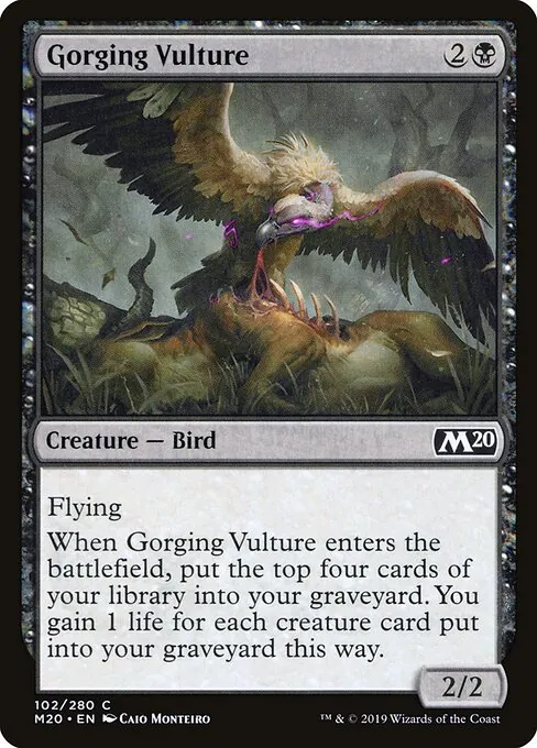 Gorging Vulture 102/344