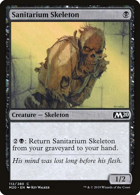 Sanitarium Skeleton 112/344