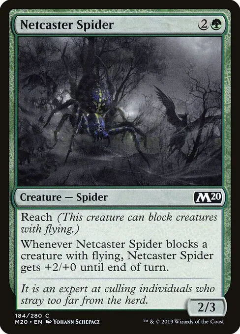 Netcaster Spider 184/344