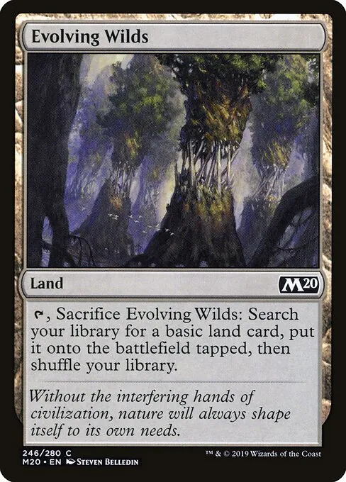 Evolving Wilds 246/344