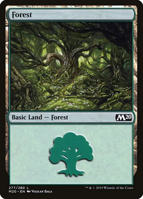 Forest 277/344