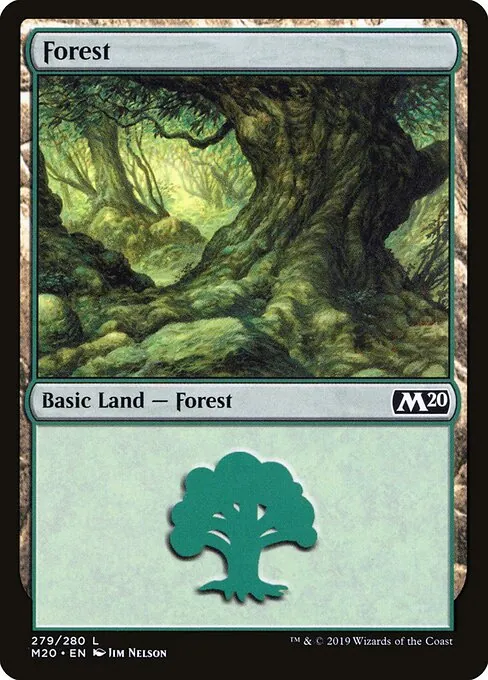 Forest 279/344