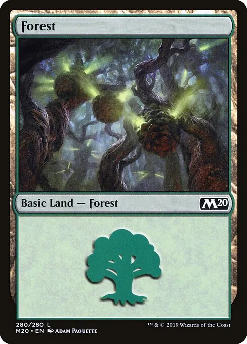 Forest 280/344