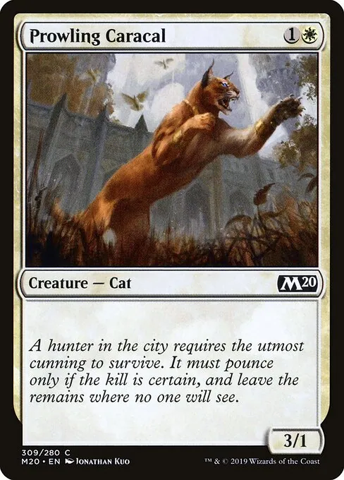 Prowling Caracal 309/344