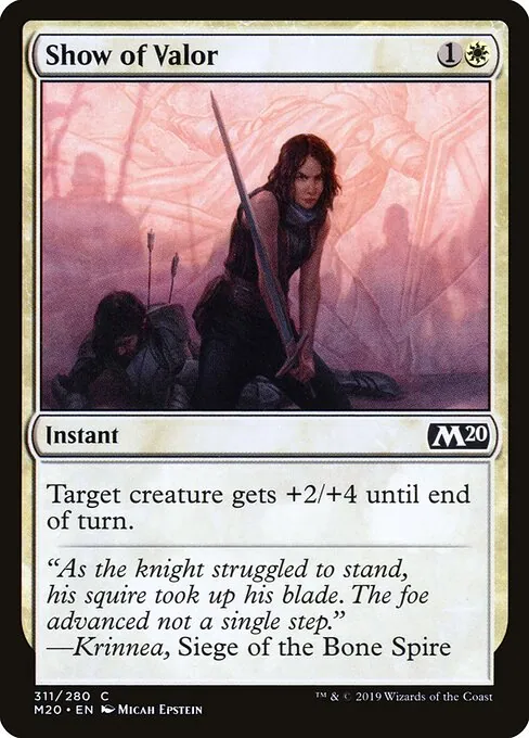 Show of Valor 311/344