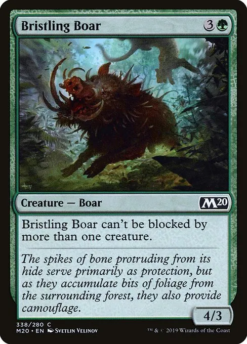 Bristling Boar 338/344
