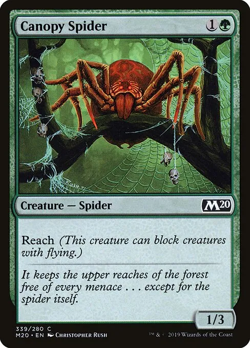 Canopy Spider 339/344