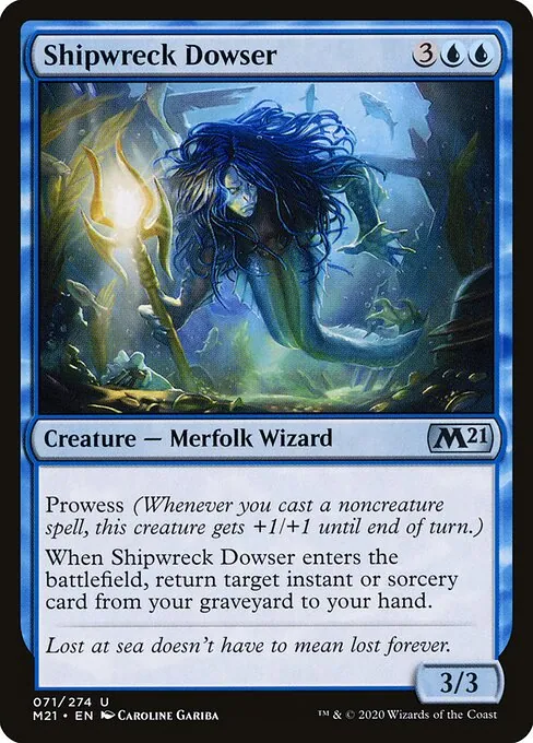 Shipwreck Dowser 071/274