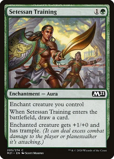 Setessan Training 205/274