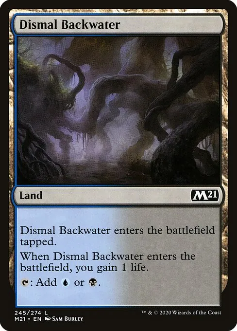 Dismal Backwater 245/274