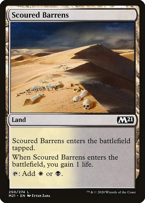 Scoured Barrens 250/274