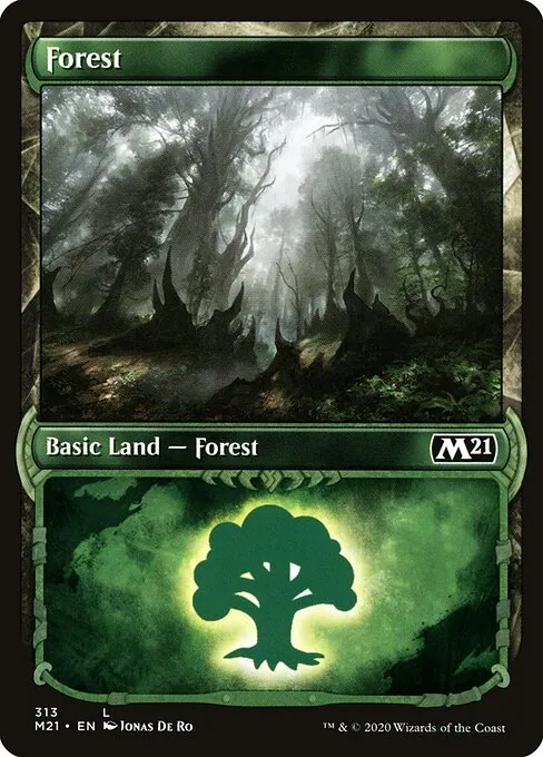 Forest 313/274
