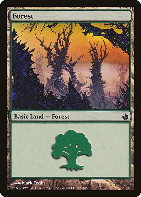 Forest 155/155