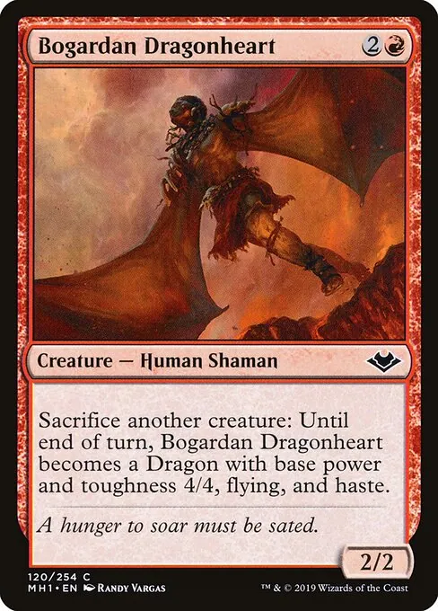 Bogardan Dragonheart 120/254