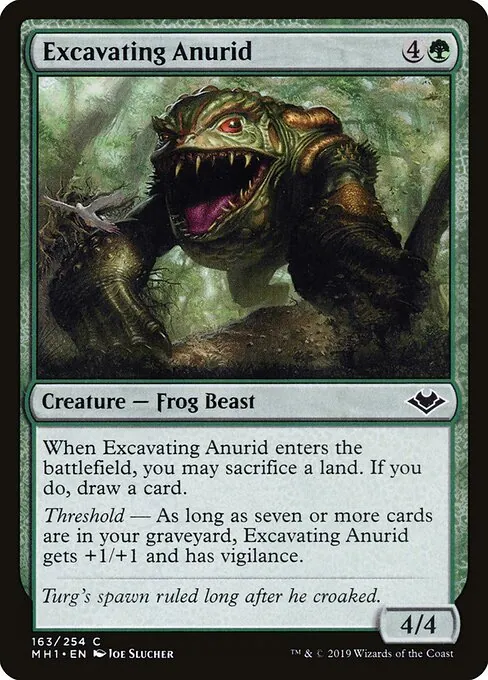 Excavating Anurid 163/254