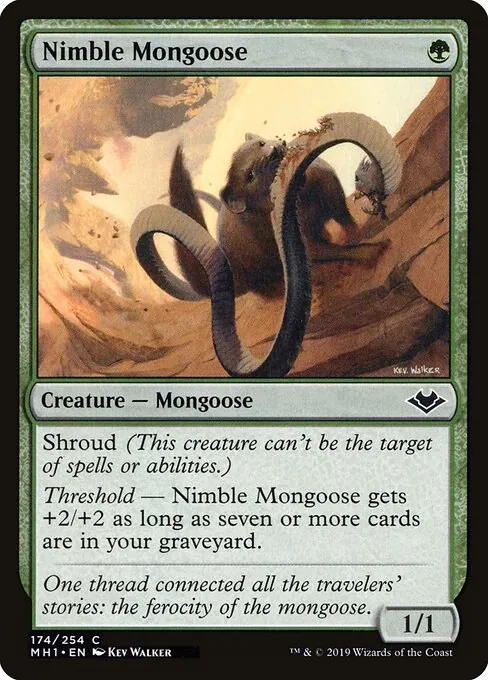 Nimble Mongoose 174/254