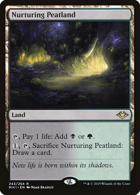 Nurturing Peatland 243/254