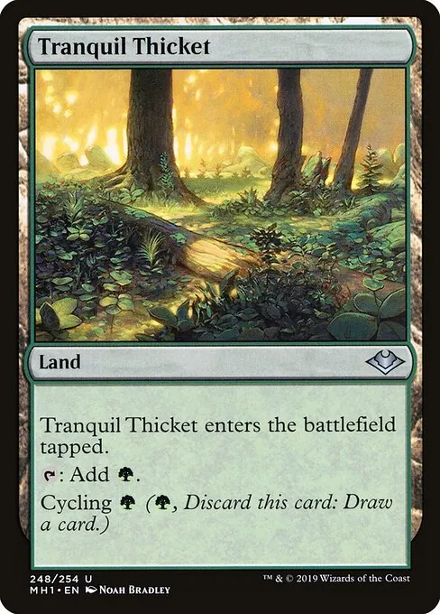 Tranquil Thicket 248/254