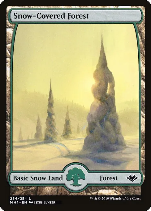 Snow-Covered Forest 254/254