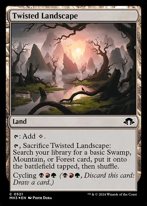 Twisted Landscape 521/329