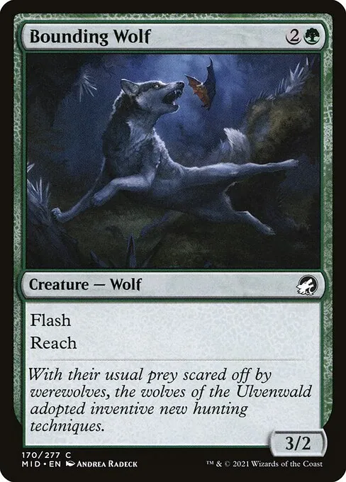 Bounding Wolf 170/277