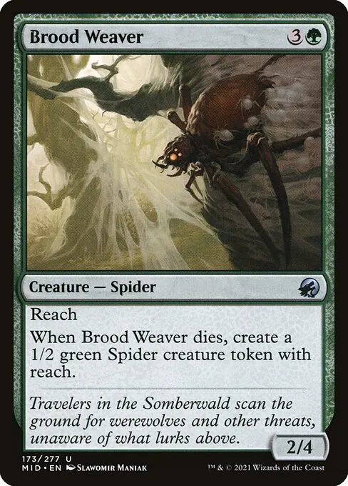 Brood Weaver 173/277