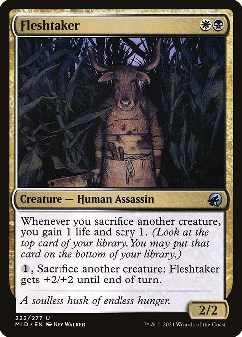 Fleshtaker 222/277