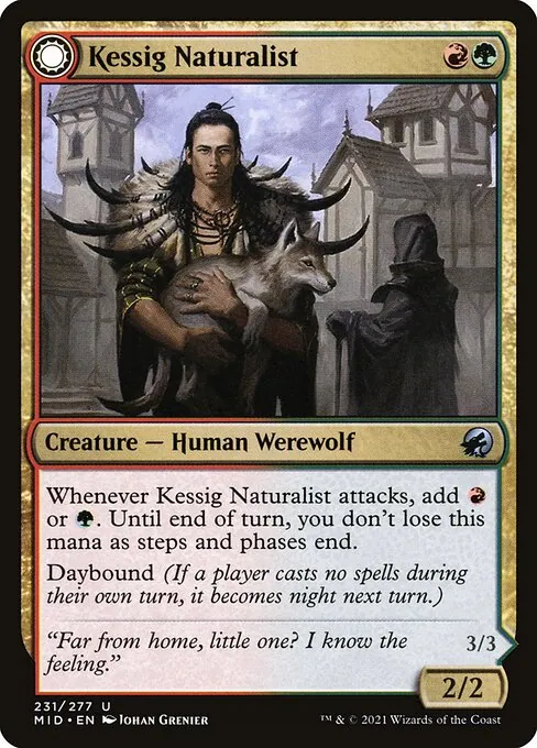 Kessig Naturalist // Lord of the Ulvenwald 231/277