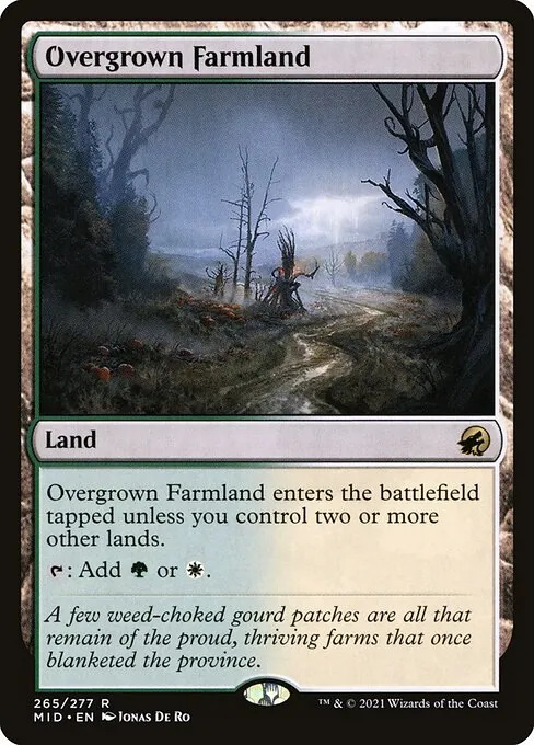 Overgrown Farmland 265/277