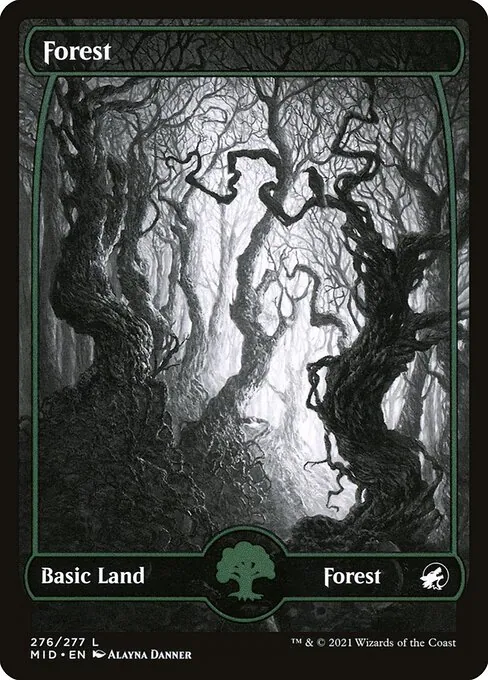 Forest 276/277