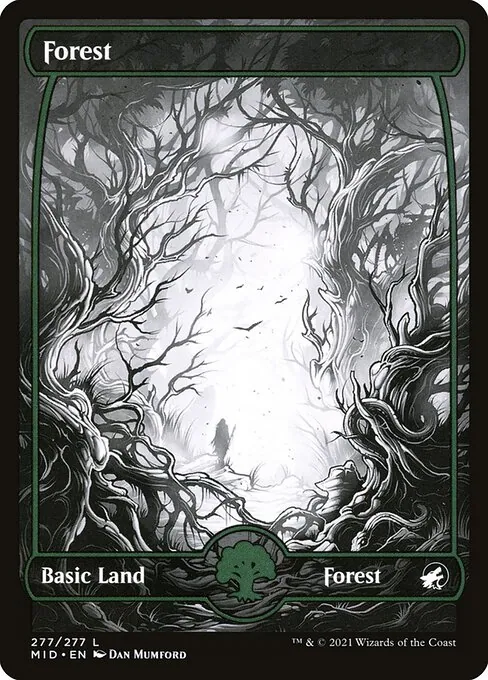 Forest 277/277