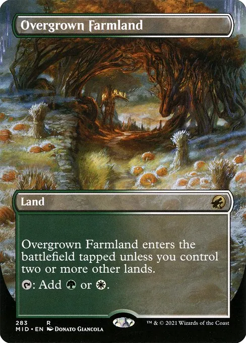 Overgrown Farmland 283/277