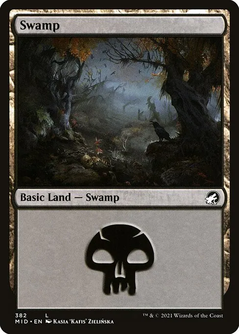 Swamp 382/277