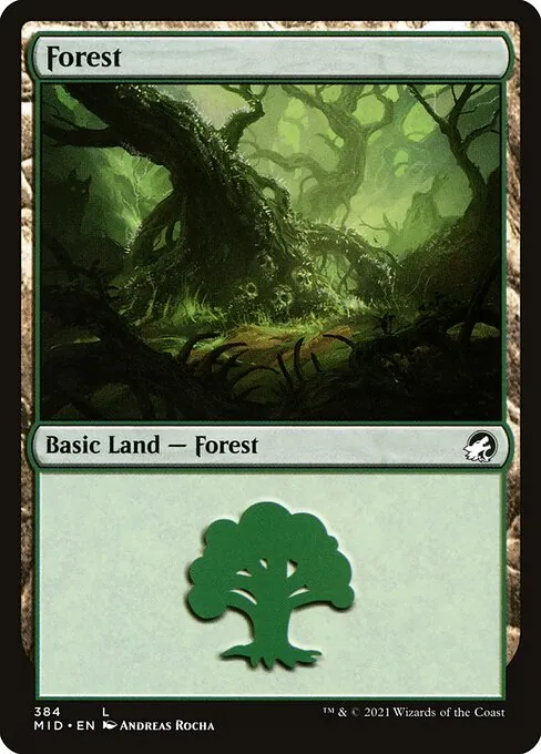 Forest 384/277